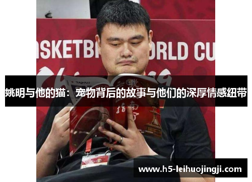 姚明与他的猫：宠物背后的故事与他们的深厚情感纽带