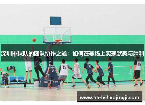 深圳排球队的团队协作之道：如何在赛场上实现默契与胜利